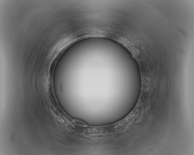 X0000115740338200911121541