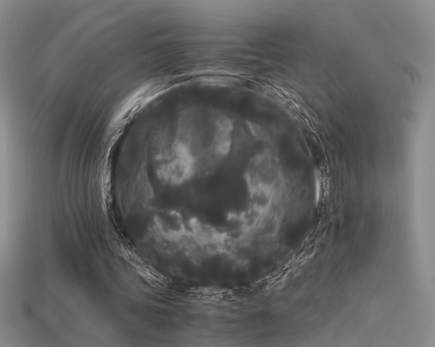 X0000115740339200911121541