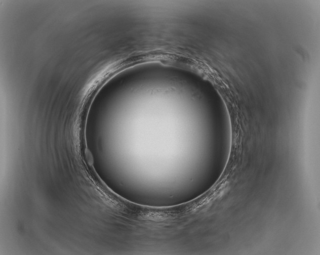X0000115740341200911121542
