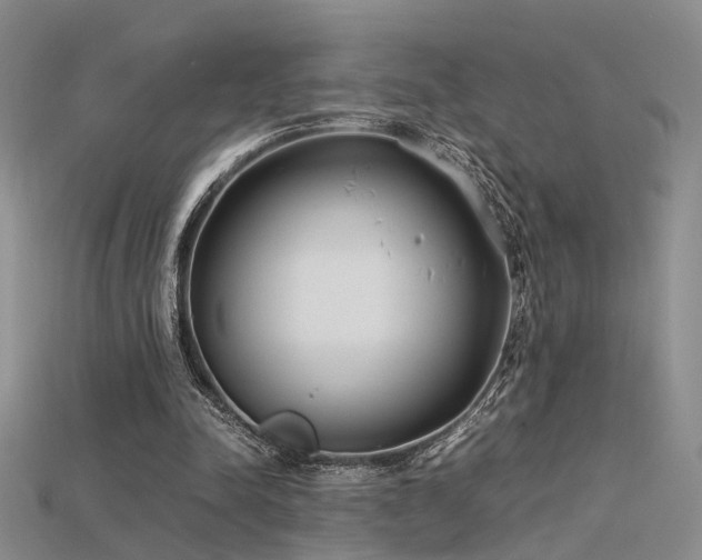 X0000115740342200911121542