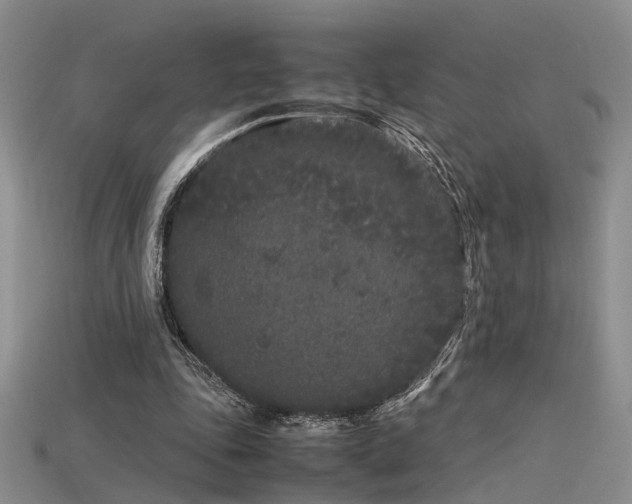 X0000115740343200911121542