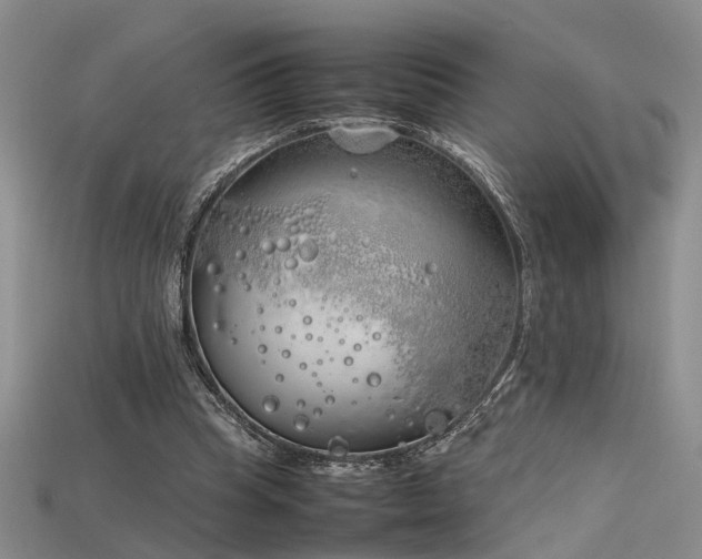 X0000115740345200911121542