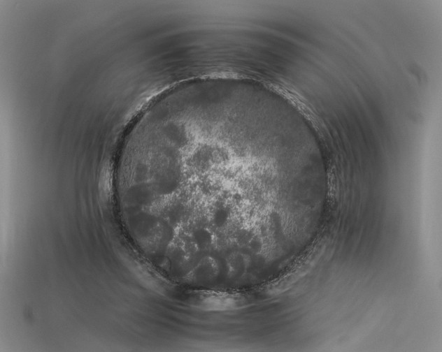 X0000115740347200911121542