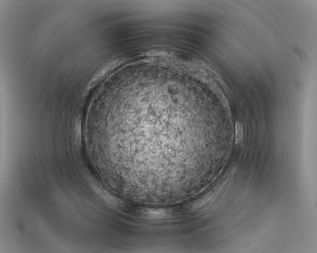 X0000115740349200911121542