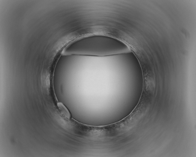X0000115740350200911121542