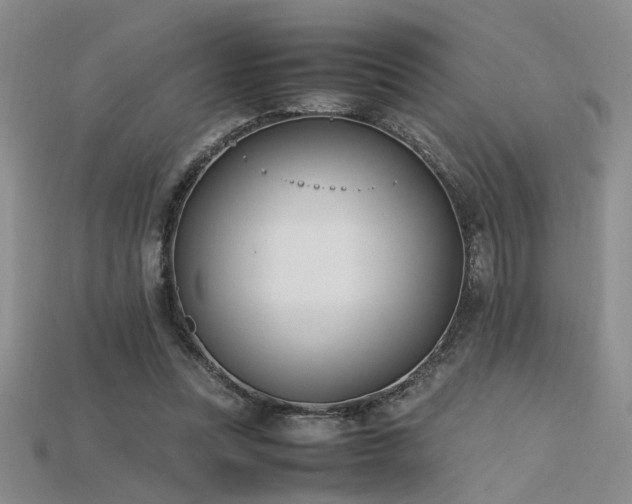 X0000115740351200911121542