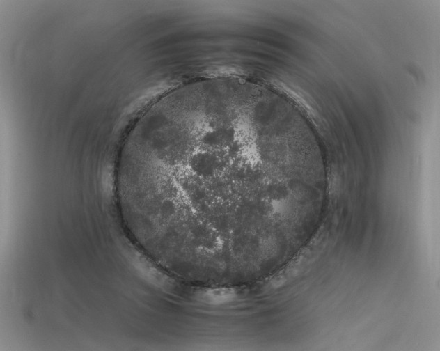 X0000115740353200911121542