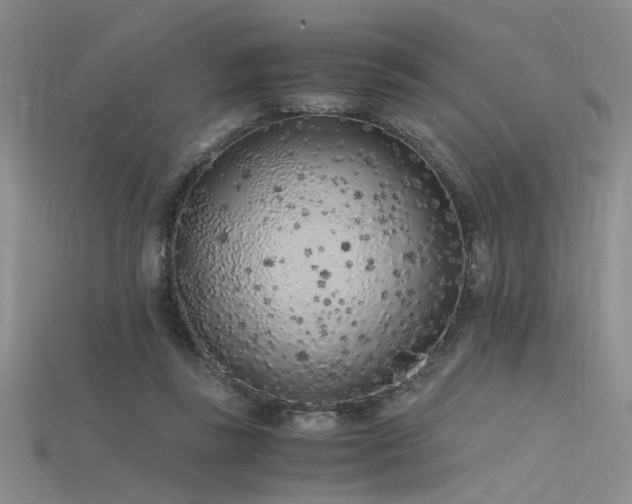 X0000115740355200911121542