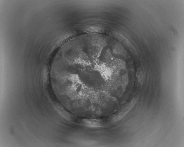 X0000115740359200911121542