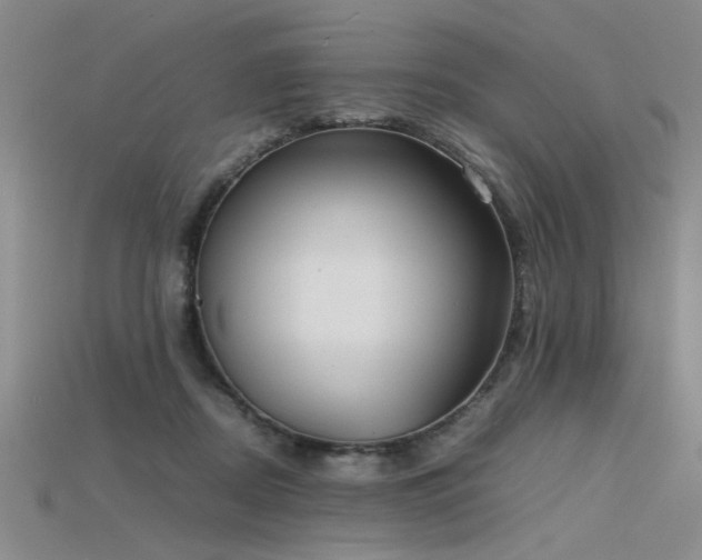 X0000115740362200911121542