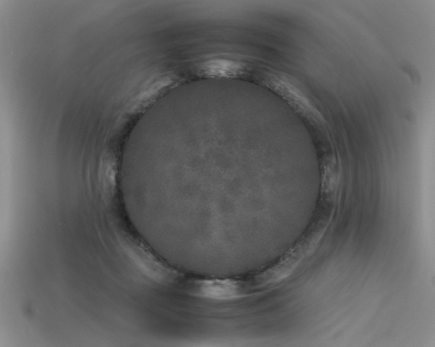 X0000115740363200911121542