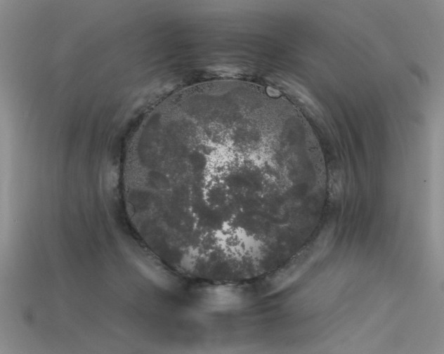 X0000115740365200911121542