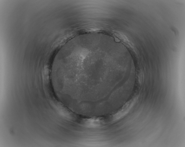X0000115740366200911121542