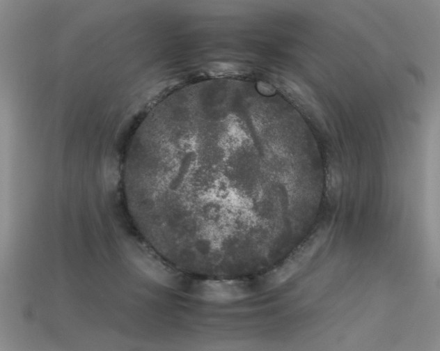 X0000115740367200911121542
