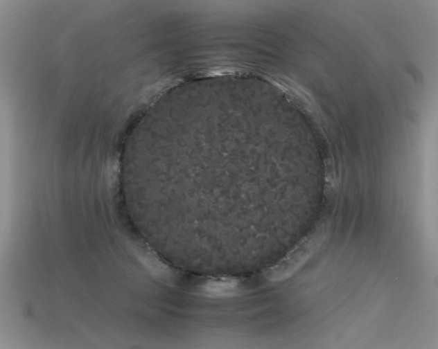 X0000115740369200911121542
