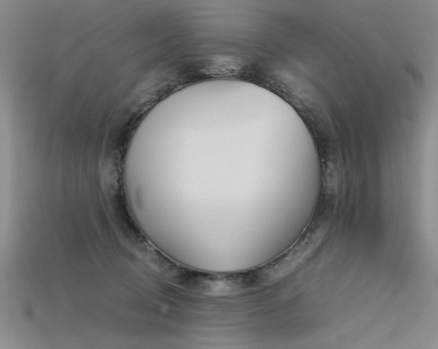 X0000115740370200911121542