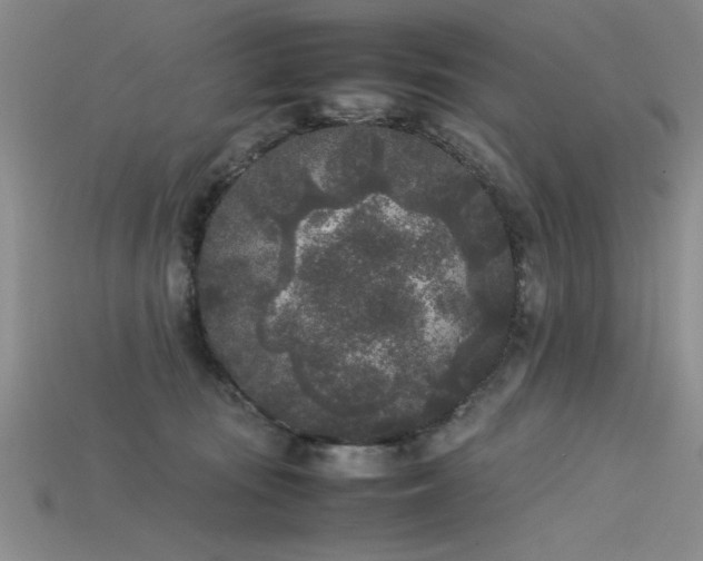 X0000115740371200911121542