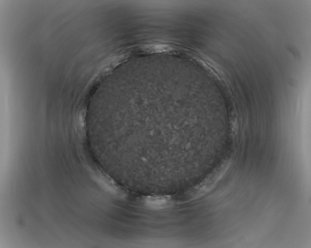 X0000115740373200911121542