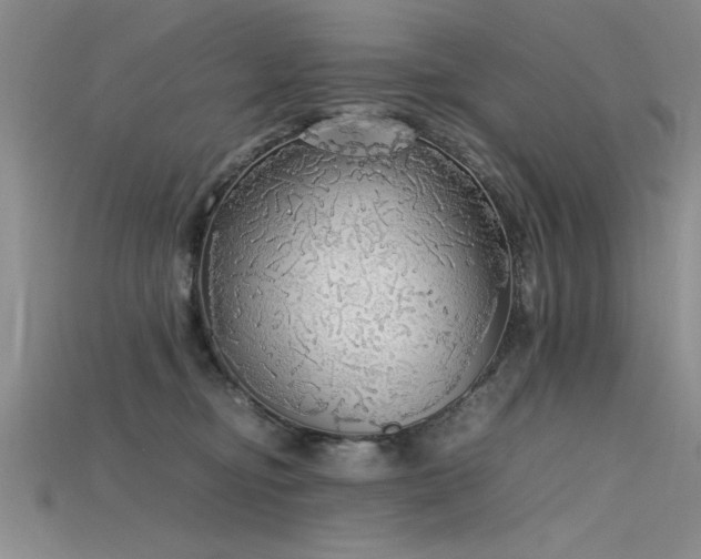 X0000115740374200911121542