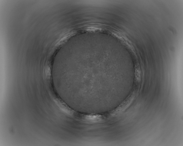 X0000115740375200911121542