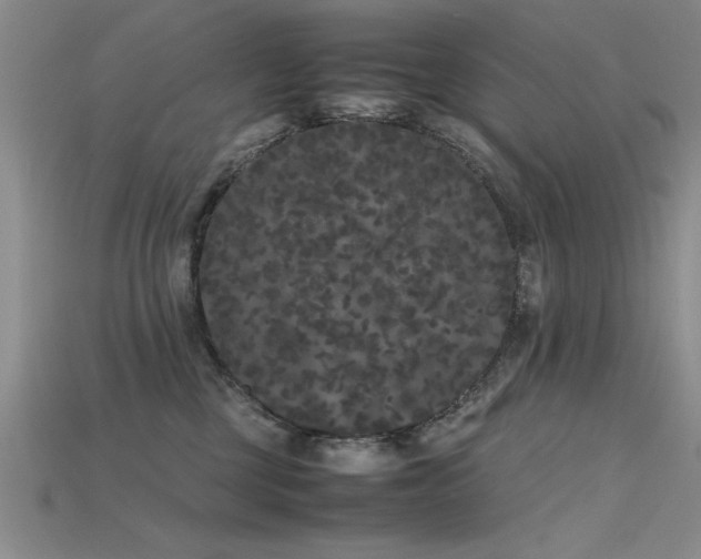 X0000115740377200911121542