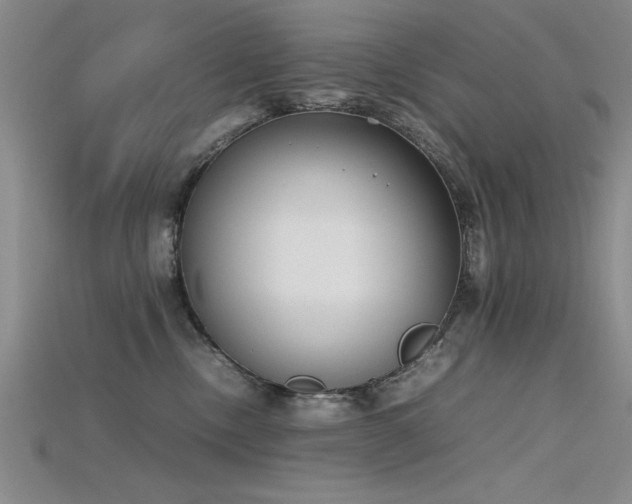 X0000115740378200911121542