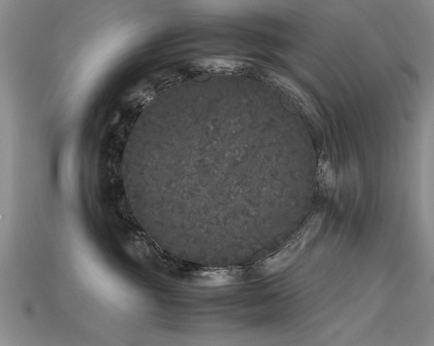 X0000115740381200911121542