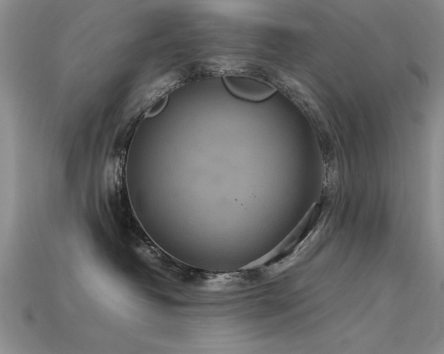 X0000115740382200911121542
