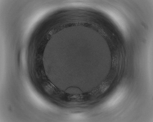 X0000115740383200911121542
