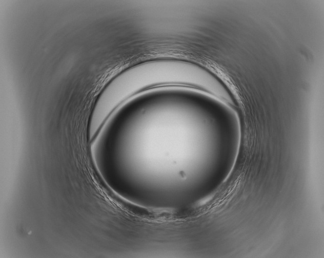 X0000115740385200911121541