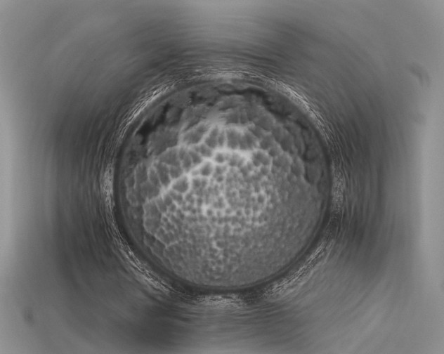 X0000115740386200911121541