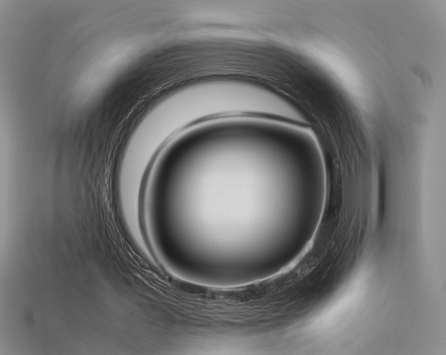 X0000115740387200911121541