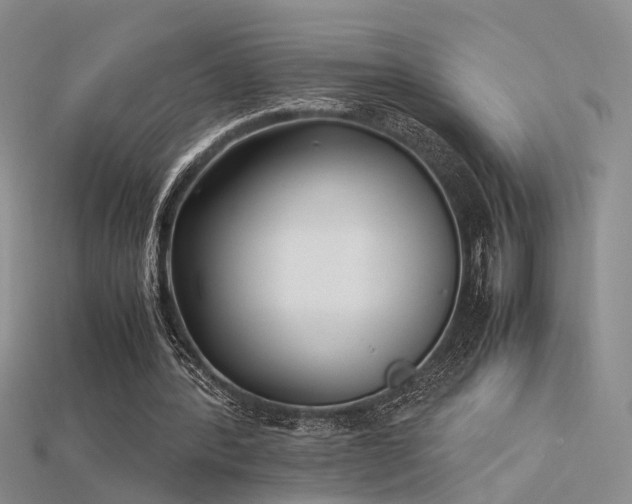 X0000115740388200911121541