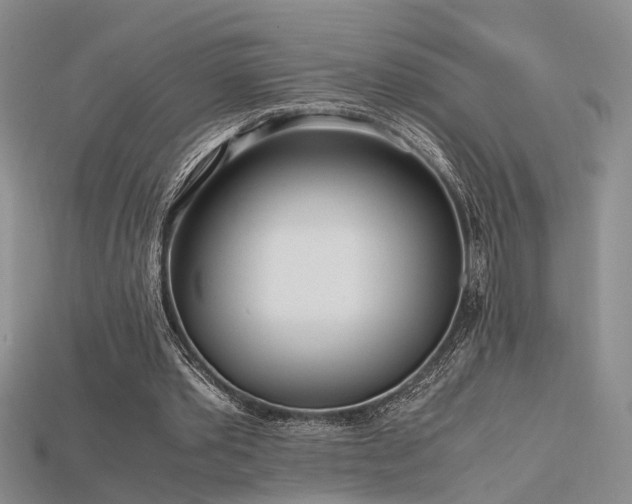 X0000115740389200911121541