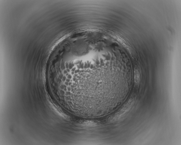 X0000115740390200911121541