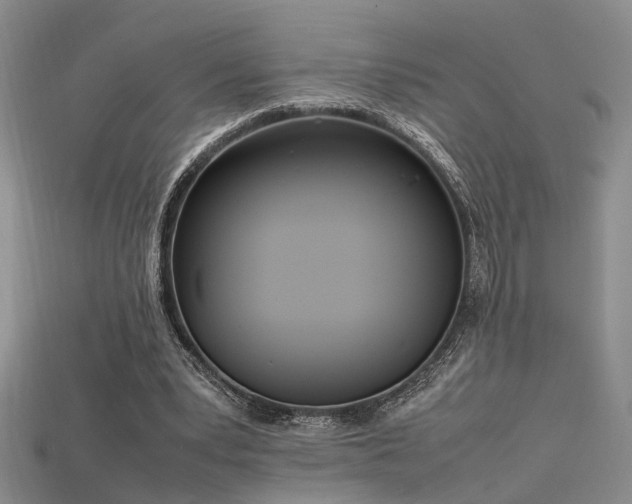 X0000115740391200911121541