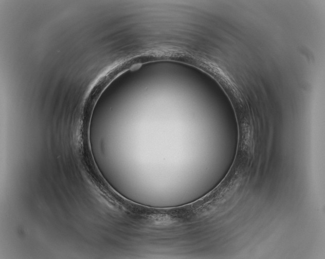 X0000115740392200911121541