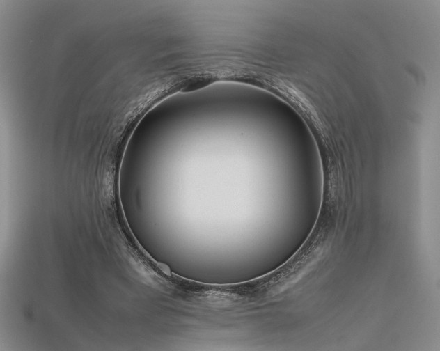 X0000115740393200911121541