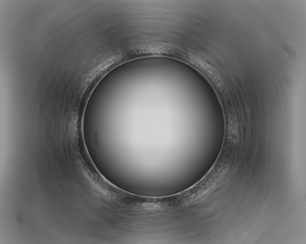 X0000115740394200911121541
