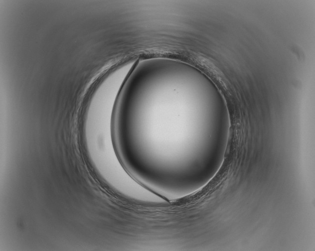 X0000115740395200911121541