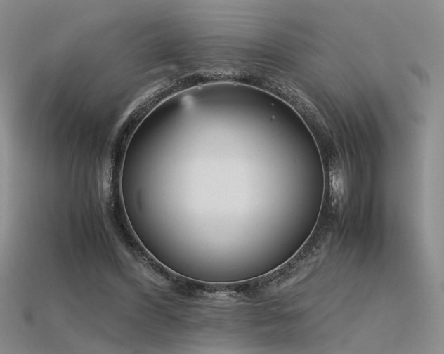 X0000115740396200911121541