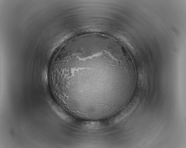 X0000115740398200911121541
