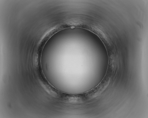 X0000115740400200911121541