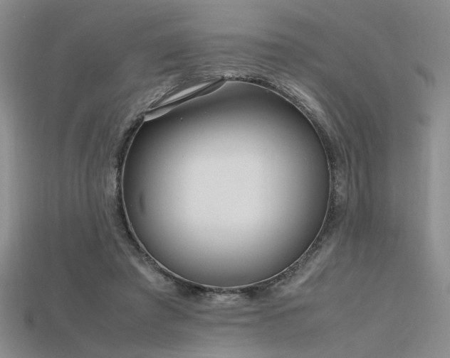 X0000115740401200911121541