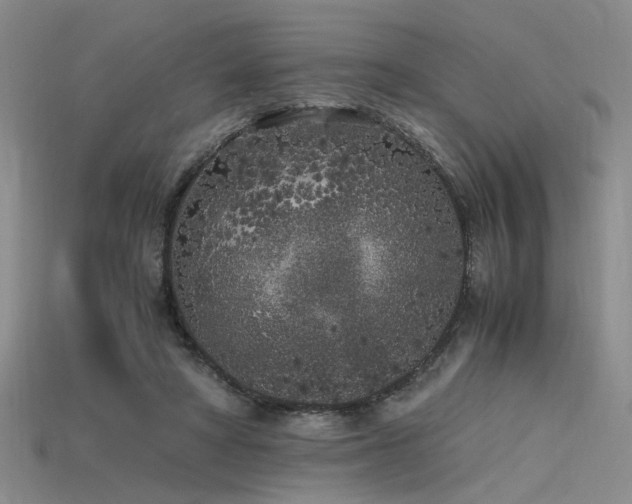 X0000115740402200911121541