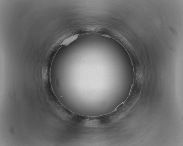 X0000115740403200911121541
