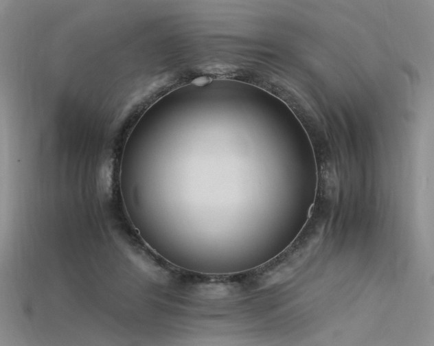 X0000115740404200911121541