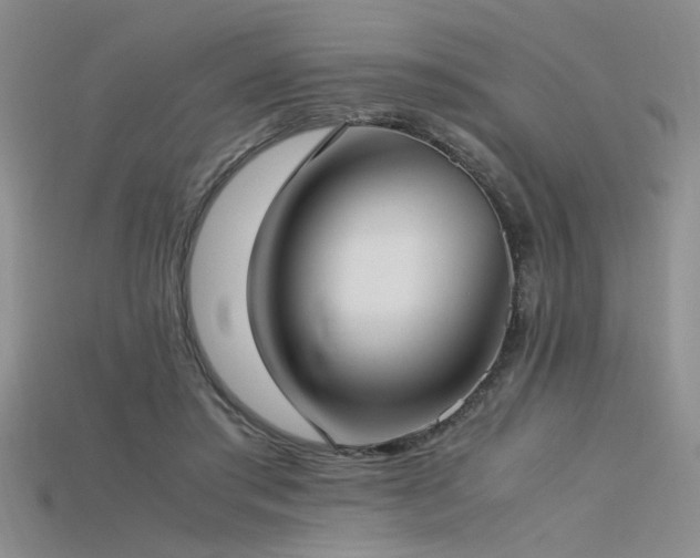 X0000115740405200911121541