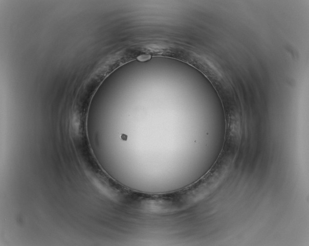 X0000115740408200911121541