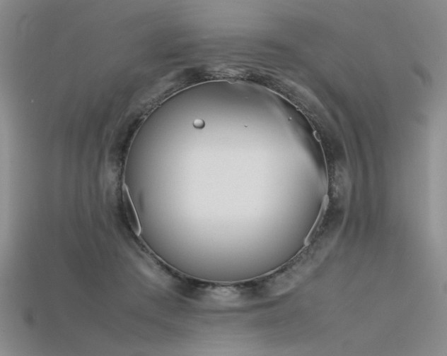 X0000115740409200911121541